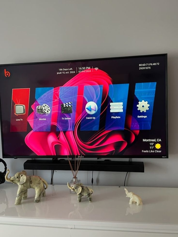 VOISIPTV Customer Review Jan V.